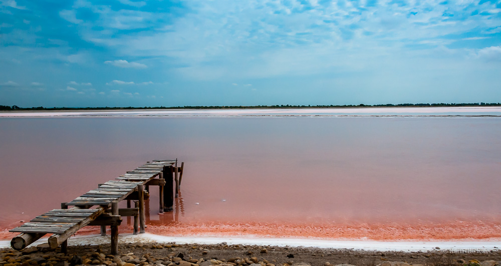 Salina (Aigues Mortes)